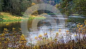 flowing river in fall nature