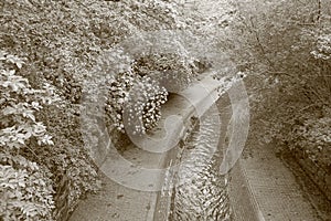 Flowing river with footpaths and canopy of trees