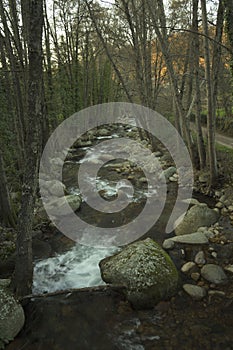 Flowing river with numerous stones in gallery of trees