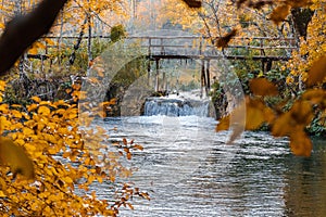 Flowing river in the park with a bridge in autumn