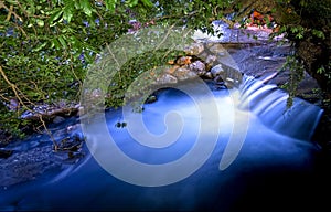 Flowing River Under Trees