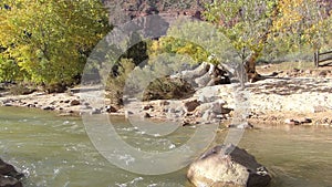 Flowing River at Zion National Park Utah Panning Shot