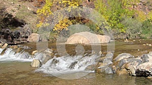 Flowing River at Zion National Park Utah Panning Shot