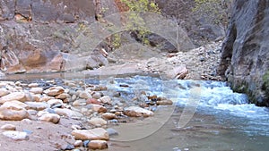 Flowing River at Zion National Park Utah Panning Shot