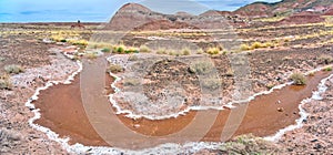 Pintado Spring in Petrified Forest AZ photo