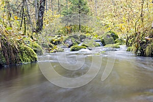 Flowing stream in forest in autumn