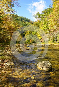 Flowing Stream Through North Carolina Mountains