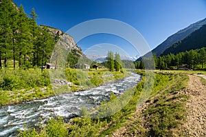 Flowing transparent waters on high altitude alpine stream in idyllic uncontaminated environment in the Alps. Ultra wide angle view