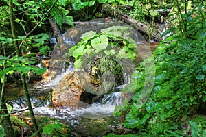 Flowing water between the boulders