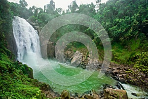 Flowing Water, Forest, Public Park, Spring - Flowing Water, Stone - Object