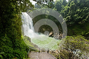 Flowing Water, Forest, Public Park, Spring - Flowing Water, Stone - Object