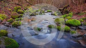 Flowing water of forest stream through stones