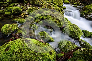 Flowing water at little creek
