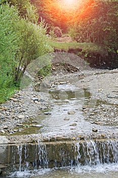 Flowing water in mountain stream. Carpathians