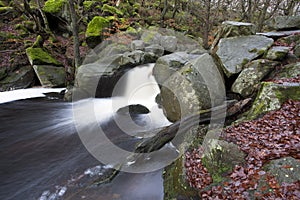 Flowing water in a stream