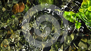 Flowing water in a stream  greenery and rocks under water.