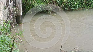 A flowing water in a stream in kluang, johor