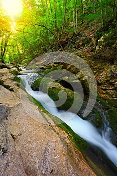 Flowing water stream in mountain forest