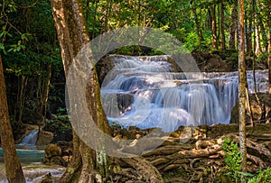 Flowing water in a Thailand jungle