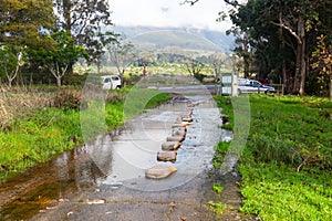 Flowing water through Tokai forest.