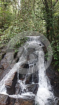 A flowing waterfall .. Sinharaja, Sri Lanka