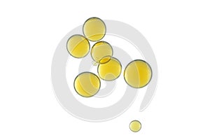 FLowing yellow bubbles isolated over white