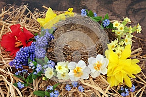 Flown the Nest Concept with Spring Flowers photo