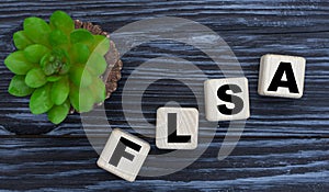 FLSA word on a beautiful dark background with cactus