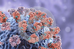 Flu virus, close-up view, 3D illustration