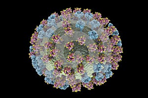 Flu virus, close-up view, 3D illustration photo