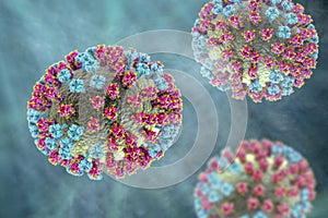 Flu virus, close-up view, 3D illustration photo