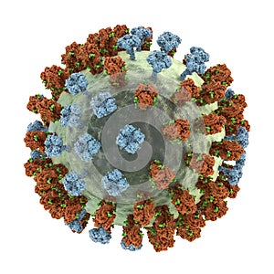 Flu virus, close-up view, 3D illustration photo