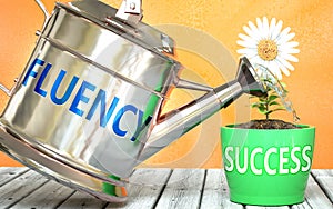 Fluency helps achieving success - pictured as word Fluency on a watering can to symbolize that Fluency makes success grow and it photo