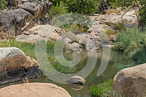 fluent river with rocks and vegetation in Africa. Lubango. Angola.