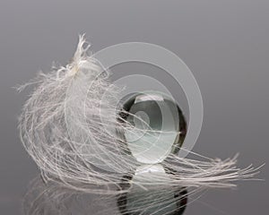 The fluff and glass bead