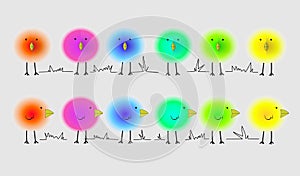 Fluffy bright birds