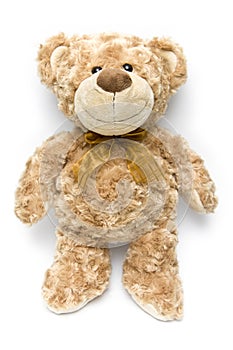 Fluffy brown teddy bear standing up