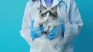 The fluffy cat and veterinarian.AI generated image
