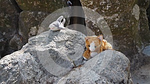 Fluffy Children toys left as souvenirs on a rock