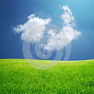 Fluffy cloud and green field