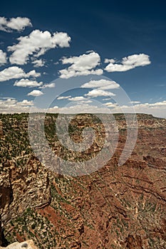 Fluffy Clouds Float Over The North Rim Of Grand Canyon