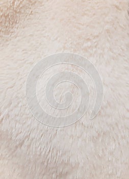 Fluffy comfort faux fur cloth. Warm, cozy, soft, fluffy. Background design, photography. Textile, fabric template, modern new