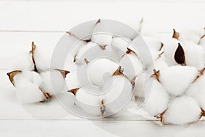 Cottons on a white background