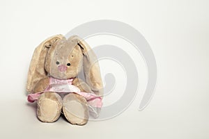 Fluffy, cute little toy rabbit hare in pink dress on white background with copy space
