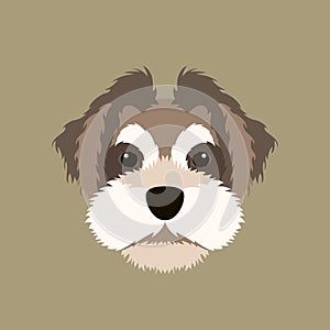 Fluffy dog head vector illustration style