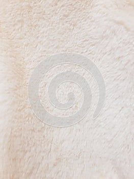 Fluffy faux fur winter cloth. Warm, cozy, soft, fluffy. Background design, photography. Textile, fabric template, modern new