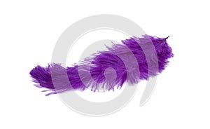 fluffy feather in purple color isolated