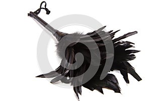 Fluffy Feathered fetish equipment