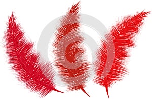 Fluffy Feathers Reds