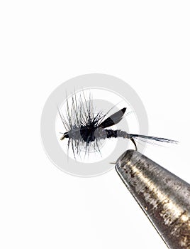 Fluffy fly fishing hook on white background
